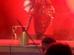 A cabeza da dragona